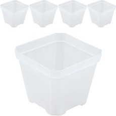 美化部長 多用途透明狹縫花盆, 透明色, 5件