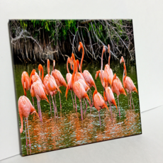 HTTP 水岸紅鶴 照片磁磚 C724