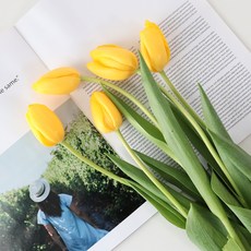 모리앤 튤립 생화단 5대, 릴리옐로우