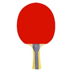 Regail 雄獅單人初學者1星搖乒乓球拍紅色HY233, 單品
