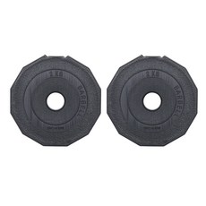 아리프 다이나믹 경량 30mm용 바벨 원판 2kg, 2개, 블랙