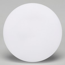 메가맨 원형 LED 18W 슬림 직부등 220mm, 1개, 화이트 + 주백색