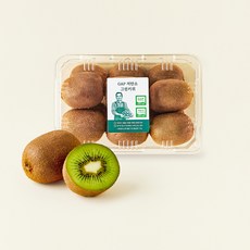온브릭스 주식회사 농업회사법인 GAP 인증 저탄소 그린키위, 1개, 1kg