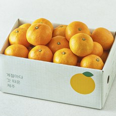 깨비농원 감귤, 1박스, 1.5kg(로열과)
