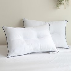 I&#39;m Living 重量級木炭線酒店超細纖維 C 形枕棉 2p 套裝, 白色, 1組