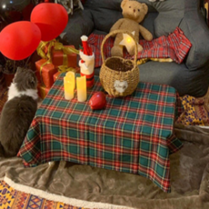 Daily Nest 家居裝飾桌布, 100 x 140 cm, 綠色格紋, 1個