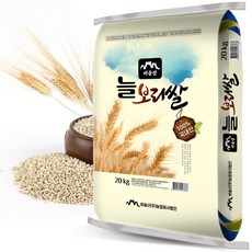 비슬산 늘보리쌀, 20kg, 1개