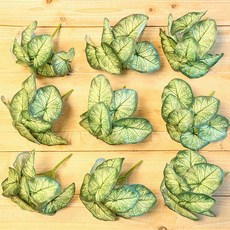 JOART 室內裝飾人造葉片 人造植物葉叢 9入組, 彩葉芋, 1套