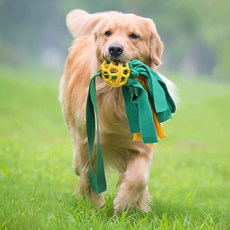 Lanboer 寵物毽子拔河玩具, 1個, 黃色