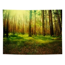 RAONTOYOU 清新窗景大型掛毯, 1211543