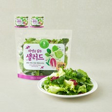 그린래빗 자연을 닮은 샐러드 실속B, 100g, 3개