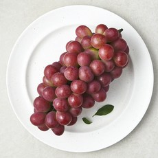 아주마 산지직송 써니돌체 포도, 1개, 800g