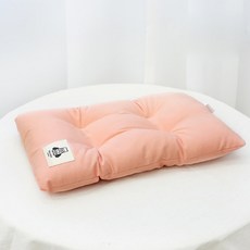 데이소이 고양이 파스텔 색감 쿠션, 02핑크오렌지, 1개