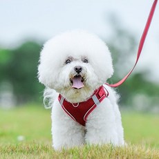 메디치트 반려견 소형견 하네스 조끼 L + 산책 로프 세트, 레드, 1세트