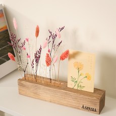 ASPASIA 木質擺件永生花DIY套組, 粉紅色