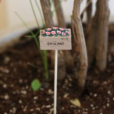 센트바스켓 해피무드 핸드메이드 화분 가든픽 브로칸트, 혼합색상