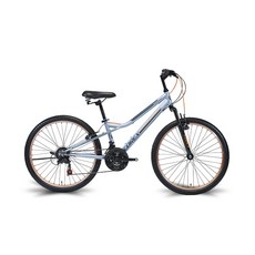 알톤스포츠 2022년형 맨하탄 24SF 코렉스 MTB 자전거, 158cm, 인디고그레이, 1개