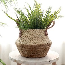 Dometopia 自然花園花盆籃, 1個