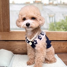 Grooming Dog 狗狗花朵露肩無袖背心, 1個, 海軍藍