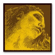 피라스트로 에바피라찌 바이올린 줄 기본세트 4/4, 골드, 1개