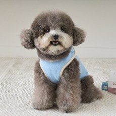 BENNYS 狗狗卡士達開襟背心, 藍色, 1個