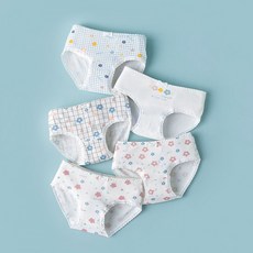 제이셀 여성용 플라워 레이스 학생 팬티 5종 세트 P852