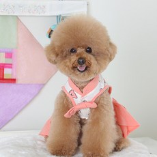 AMYLOVESPET DE熊韓服連衣裙, 粉色的