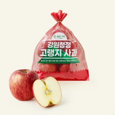 올바른과일 강원 고랭지 사과 중과 5~6개입, 1개, 1.3kg