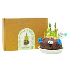 minhwashop 造型植物玩偶 DIY 製作套組 S2301520, 1套, 多色