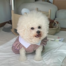 bydamsoomi 狗狗茱蒂花領洋裝, 紫色