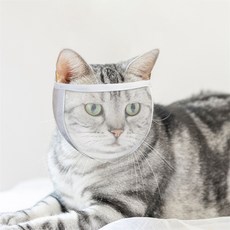 PASTEL PET 寵物用透明柔軟口罩, 白色, 1入