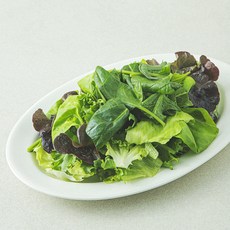 팜에이트 무농약 인증 스피니치 믹스 샐러드, 120g, 1개