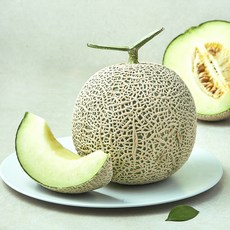 가온누리 머스크 멜론, 1개, 1.6kg