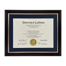 ONURIINC Gold One 證書相框, 07 海軍藍 + 銀色