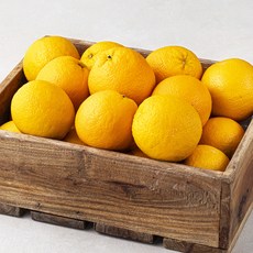 만나다 미국산 발렌시아 오렌지, 1박스, 4kg