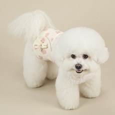 RITOGATO 狗狗舒適禮貌帶 貴賓犬 SM, 1個, 1入