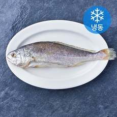 통영원 중국산 손질 부세 (냉동), 1개, 350g