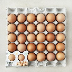 계란의정원 동물복지 인증 유정란 1.56kg, 1개, 30구