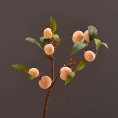 Bunet Peach Fruit Harmony 茄子 M, 2個, 黃色的