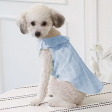 petit dog 寵物公園荷葉邊襯衫 DST073, 藍色, 1個