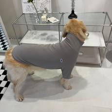 Barkdog 狗狗高領T恤, 灰色, 1個