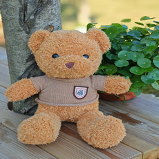 B2WIN Clarein 可愛漂亮毛衣熊娃娃, 1個, 棕色