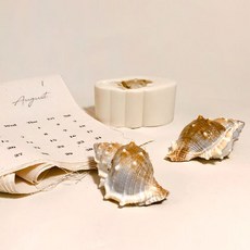 A型 螺號 響螺 海螺 蠟燭立體矽膠模具 1孔 大號 63 x 43 x 30 mm 2入, 單一顏色