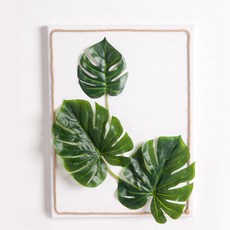 flowertree 人造葉畫布組 龜背芋 P FMFUFT, 1套