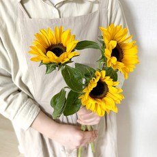 코코도르팜 생화 해바라기 3대, 옐로우