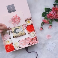 La Alegria肥皂花驚喜零用錢盒, 兩色杏