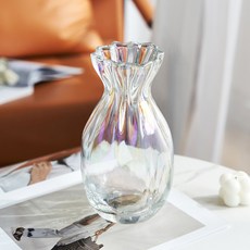 EVER HOUSE 玻璃泡泡室內裝飾花瓶, 極光