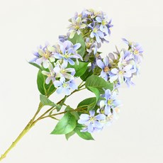Garden in the City 茉莉花枝 2入, 藍色