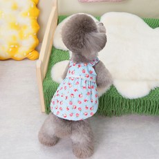 狗狗清爽水蜜桃洋裝, 藍色, 1個
