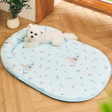 파스텔펫 반려동물 필로우 일체형 패턴쿠션, 블루, 1개